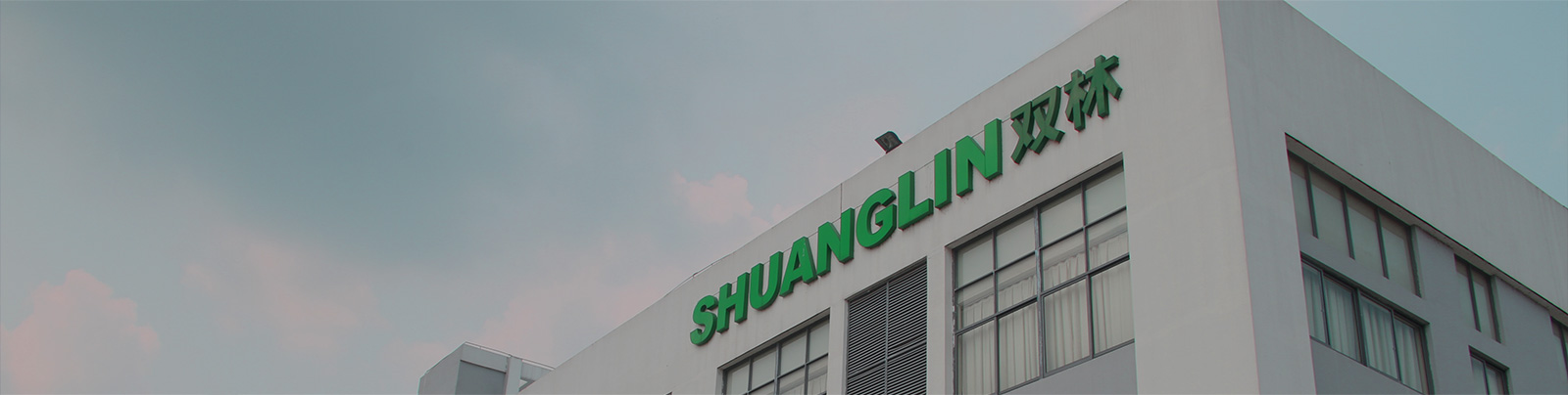 Z6官网股份站群